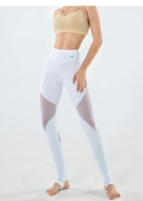 VB High Waisted  Ballerina Mesh Leggings
